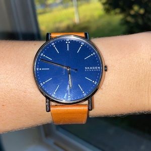 Skagen Mens Leather Watch